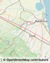 Panifici Industriali ed Artigianali,48022Ravenna