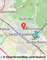 Ottica, Occhiali e Lenti a Contatto - Dettaglio,50019Firenze