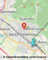 Ottica, Occhiali e Lenti a Contatto - Dettaglio,50019Firenze