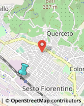 Palestre e Centri Fitness,50019Firenze