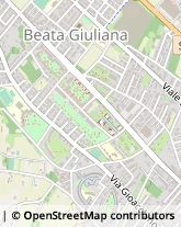 Viale della Repubblica, 44,21022Busto Arsizio