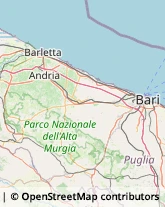 Vico XI Macchie, 15,70128Bari