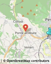 Articoli per Fumatori,51017Pistoia