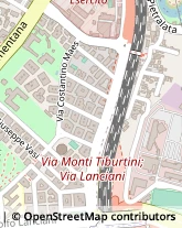 Via Luigi Ungarelli, 13,00162Roma