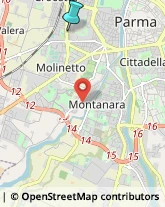 Articoli per Ortopedia,43125Parma