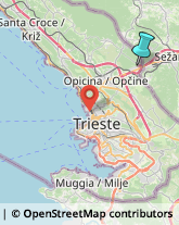 Spedizionieri Doganali,34016Trieste