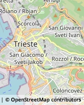 Psichiatria e Neurologia - Medici Specialisti,34122Trieste