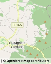 Via Nemorense, 9,57022Castagneto Carducci