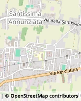 Via Vecchia Pesciatina, 1088,55100Lucca