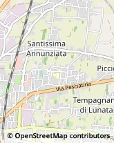 Idraulici e Lattonieri,55100Lucca