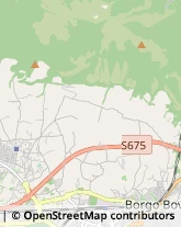 Str. del Cerqueto, 54,05100Terni