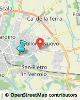 Associazioni di Volontariato e di Solidarietà,27100Pavia