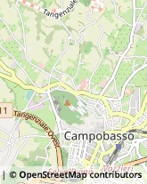 Via Giuseppe Garibaldi, 196,86100Campobasso