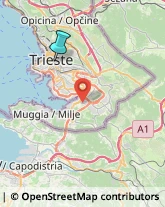 Amministrazioni Immobiliari,34129Trieste