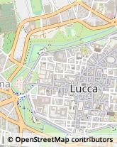 Via Beccheria, 11,55100Lucca