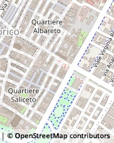 Viale Martiri della Libertà, 20,41121Modena