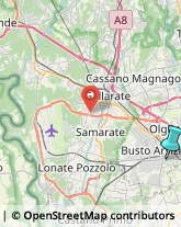 Agenzie di Animazione e Spettacolo,21052Varese