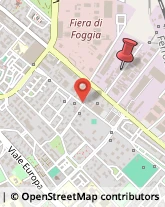 I Traversa Corso del Mezzogiorno, 101,71122Foggia