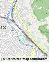 Sartorie,59100Prato