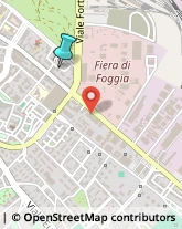 Veterinaria - Ambulatori e Laboratori,71121Foggia