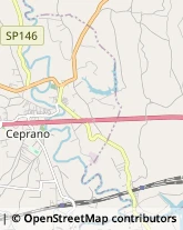 Via Campidoglio, 11,03024Ceprano