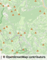 Agenzie di Animazione e Spettacolo,36078Vicenza