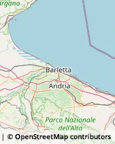 Via dei Fabbri, 24,70052Bisceglie