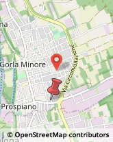 Via Rovereto, 7,21055Gorla Minore