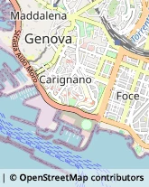 Via Corsica, 21/16,16128Genova