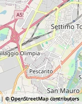 Str. della Cebrosa, 86,10156Torino