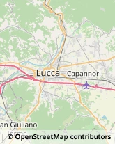 Consulenza di Direzione ed Organizzazione Aziendale,55012Lucca