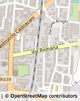 Via Romana, 95,55100Lucca