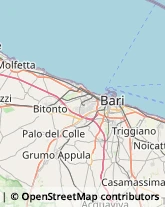 Legname da Costruzione,70054Bari