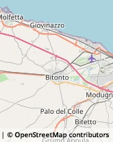 Via Piave, 22,70026Modugno