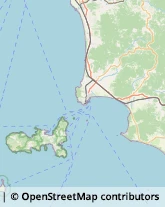 Assicurazioni,57029Livorno