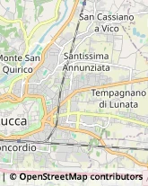 Via S. Nicolao, 65,55100Lucca