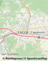 Via Tognetti, 472,55100Lucca