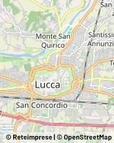 Consulenza di Direzione ed Organizzazione Aziendale,55100Lucca