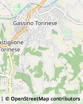 Via Giuseppe Mazzini, 11,10090Gassino Torinese