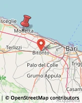 Via Galileo Galilei, 10,70056Molfetta