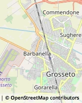 Via Svezia, 21,58100Grosseto