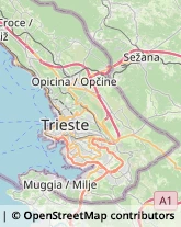 Impianti Sportivi,34151Trieste