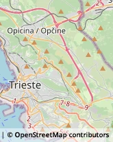 Via Limitanea, 4,34138Trieste