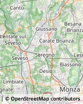 Pubblicità - Concessionari Stampa,20832Monza e Brianza