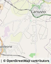 Via Quirino Sulpicio, 3,00075Lanuvio