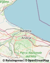 Biciclette - Dettaglio e Riparazione,76012Barletta-Andria-Trani