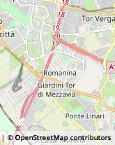 Tipografie,00178Roma