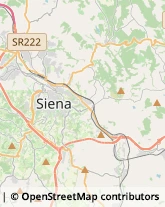 Internet - Provider,53100Siena