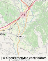 Via Teonghio, 78,36040Orgiano