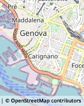 Via Nino Bixio, 4,16128Genova